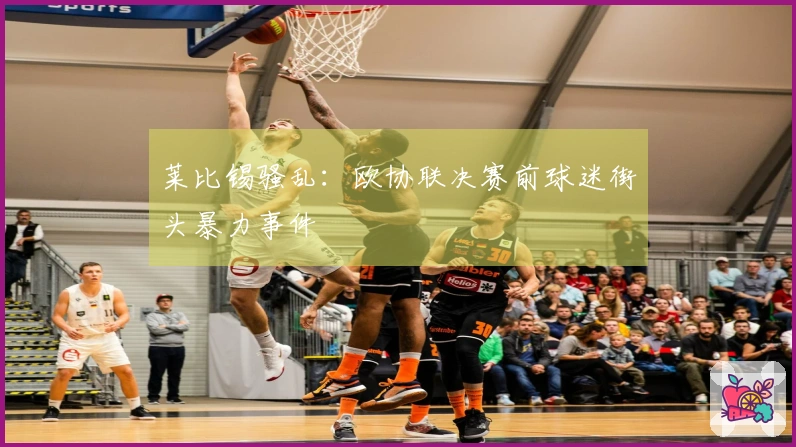 莱比锡骚乱:欧协联决赛前球迷街头暴力事件
